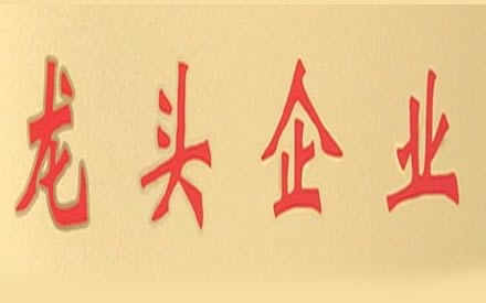 强烈热闹庆祝森普管材被肯定为2017年度“龙头企业”